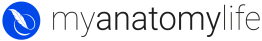My Anatomy Life